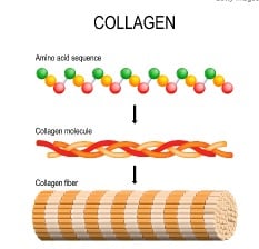 kollagen
