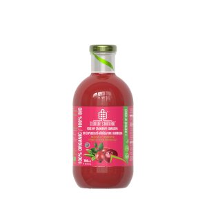 GN Bio Csipkebogyó V.áfonyalé Kombucha - 750ml DRS